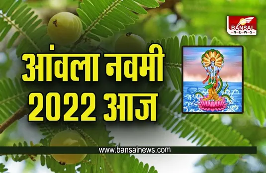 Amla Navami 2022 : आंवला नवमी आज, करना न भूलें आंवला के ये उपाय, जानें मुहूर्त, पूजा विधि, महत्व