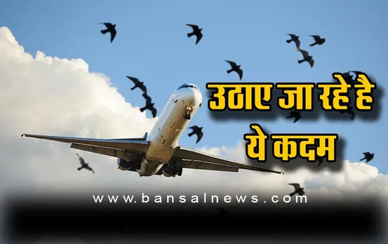 अब इस तरह से बचाया जाएगा पक्षियों को विमानों से टकराने से ! उठाए जा रहे है ये कदम