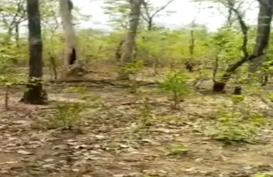 Bijapur News: नक्सलियों के मंसूबों पर फिरा पानी, जवानों ने निष्क्रिय किया तीन किलो IED