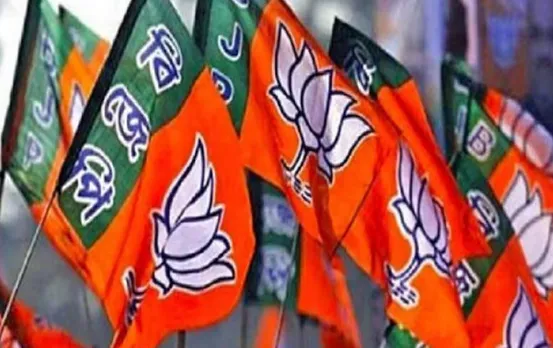 CG Elections 2023: बीजेपी प्रत्याशी पर ग्रामीणों ने किया हमला, कांग्रेस विरोधी भाषण देने का आरोप