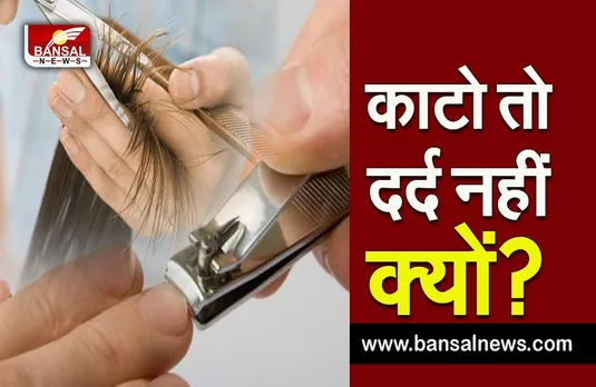 why no pain at hair&nail cut: नाखून और बाल काटने पर दर्द क्यों नहीं होता है ?