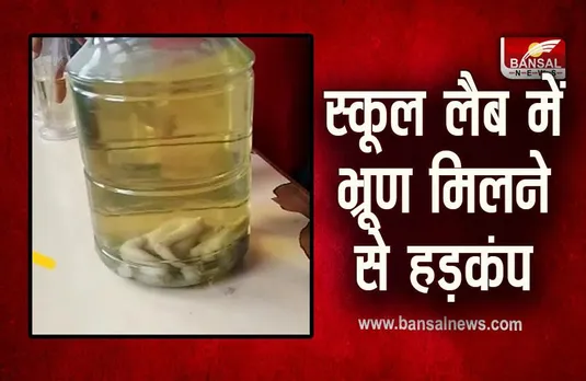 Bina News : मिशनरी स्कूल में मिला मानव भ्रूण, फैली सनसनी, बाल आयोग ने दिए जांच के आदेश