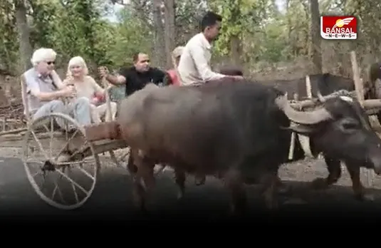 भैंसा गाड़ी पर बैठे अंग्रेज, कहे ये शब्द