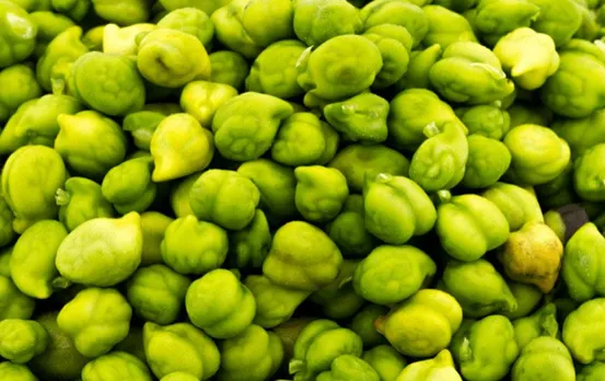 Health Tips: रोजाना सुबह इस चीज के सेवन से मिलते हैं कई फायदे, शुगर रहता है कोसों दूर