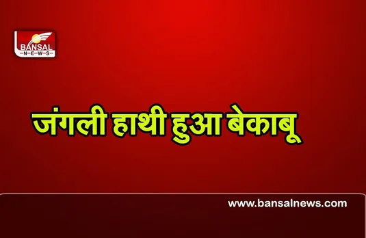 CG News : छत्तीसगढ़ में जंगली हाथी के हमले से एक महिला की दर्दनाक मौत