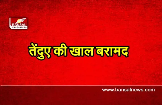 Chhattisgarh News : तेंदुए की खाल की तस्करी कर रहे , तीन लोग पकड़ाए