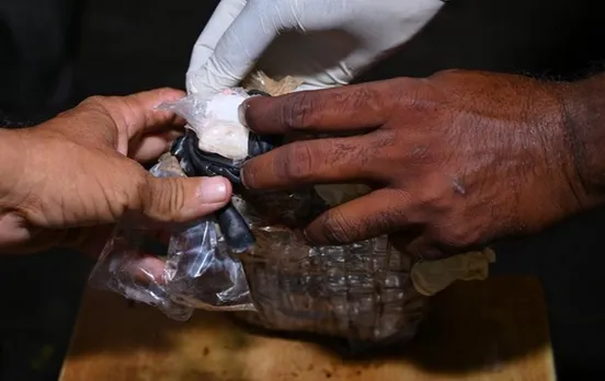 Gujarat News: DRI ने कंटेनर से इतने करोड़ रुपये की कोकीन जब्त की, पढ़ें पूरी खबर