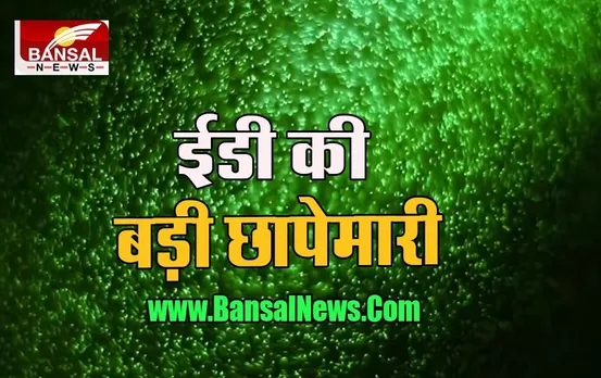 ED Big Raid: पंजाब पहुंची ईडी की बड़ी कार्रवाई, आबकारी आयुक्त समेत आवासों पर की छापेमारी