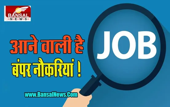 New Job Vacancy: अक्टूबर-दिसंबर में आएगी बंपर नौकरियां, 64 प्रतिशत कंपनियों में बढ़ जाएगा वर्कफोर्स, जानें सर्वे
