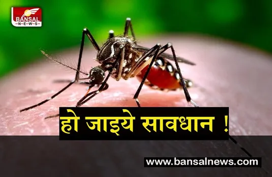 Dengue in Delhi: दिल्ली में डेंगू के इतने मामले आए सामने, स्वास्थ्य मंत्री ने अधिकारियों के साथ की बैठक