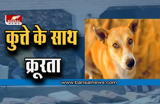 Ghaziabad News: कुत्ते के साथ क्रूरता! फंदे पर लटकाकर खींचते रहे रस्सी