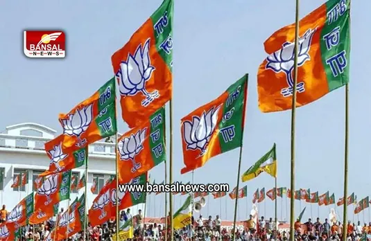 Delhi MCD Election 2022:  BJP की बड़ी कार्रवाई, 11 बागियों को किया पार्टी से निलंबित