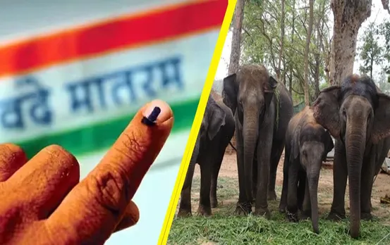 CG Elections 2023: यहां मतदान में गजराज की चुनौती, क्‍या शांतिपूर्ण वोटिंग करा पाएगा प्रशासन?