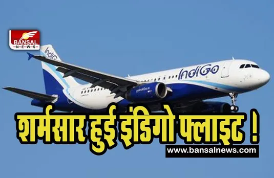 Indigo Flights Incident: फिर शर्मसार हुई इंडिगो फ्लाइट ! नशेड़ी पैसेंजर ने एयरहोस्टेस से कर दी ये हरकत, फिर क्या हुआ