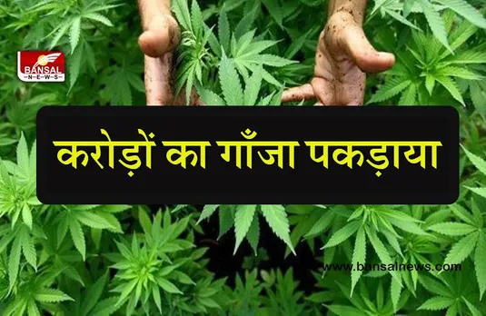 Smuggling in satna: करोड़ों के गाँजा सहित, गाँजा तस्कर हुए गिरफ्तार