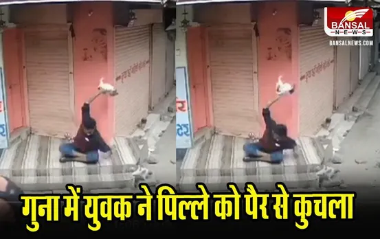 Guna News: गुना में पिल्ले के साथ बर्बरता, वीडियो देख दहल उठा सिंधिया का दिल, CM शिवराज ने दिए कार्रवाई के निर्देश