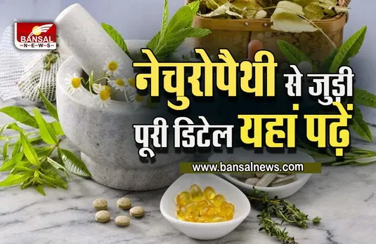 Career in Naturopathy : ऐसे बना सकते हैं नेचुरोपैथी में कैरियर, जानें कोर्स, नौकरी, सैलरी, कोर्स संस्थान से जुड़ी पूरी डिटेल