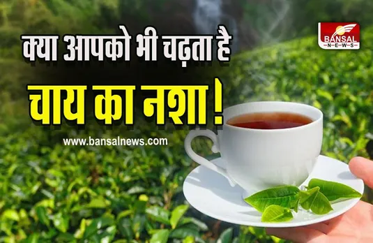 Tea Side Effects : बार-बार चाय की चुस्कियां लेने वाले हो जाएं सावधान, जान लें इसके साइड इफेक्ट