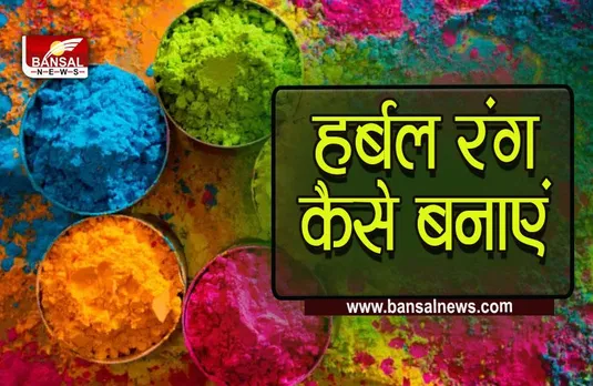 Holi Colour : कैमिकल वाले नहीं हर्बल रंगों के साथ मनाएं होली, घर पर ऐसे तैयार करें हर्बल कलर, ये है आसान तरीका