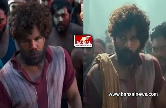 David Warner Pushpa Reel: फिल्म पुष्पा का क्रेज, ऑस्ट्रेलियाई खिलाड़ी डेविड वार्नर ने पुष्पा स्टाइल में शेयर की तस्वीर, देखें