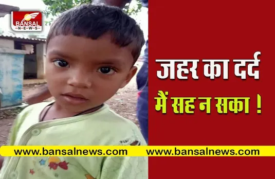 snake bite news : 5 साल के मासूम को जहरीले सांप ने काटा, मौके पर हुई मौत
