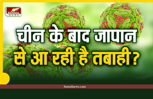 जापान से आ रही है तबाही? मच्छर के काटने से फैलता है खतरनाक वायरस
