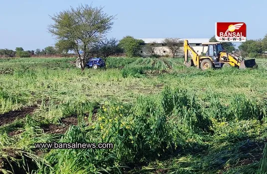 MP SHAJAPUR NEWS: कलेक्टर के निर्देश पर बड़ी कार्रवाई, भूमाफियाओं के कब्जे से 3 करोड़ की 60 बीघा शासकीय भूमि मुक्त कराई