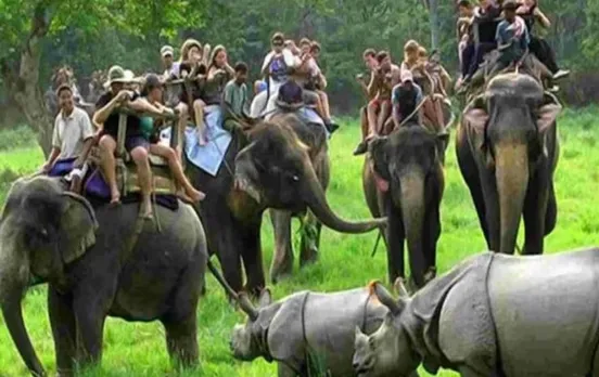 Assam News: इस दिन से टूरिस्टों के लिए फिर से खुलेगा काजीरंगा नेशनल पार्क, वन अधिकारी ने लिया निर्णय