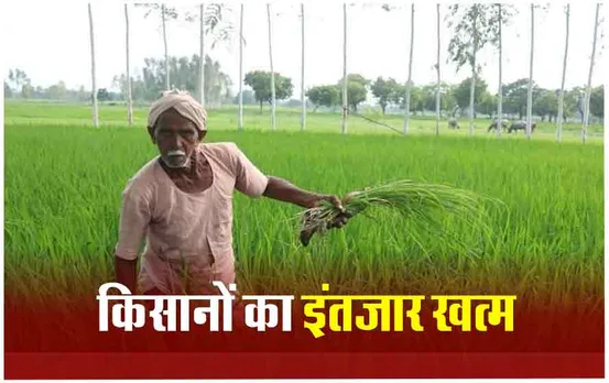PM Kisan 16th Kist: 16 वीं किस्त जारी, 5 साल में इस राज्य के किसानों को मिला सबसे ज्यादा फायदा, 3 गुना हुई लाभार्थियों की संख्या