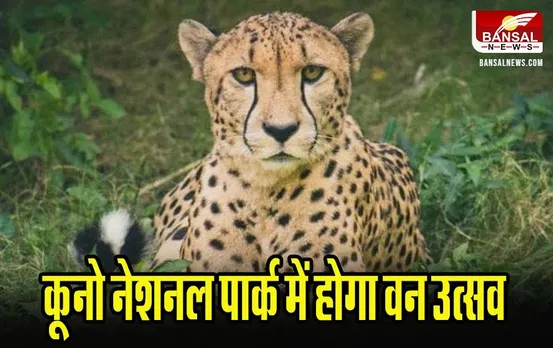 Kuno Van Festival: कूनो नेशनल पार्क में होगा वन उत्सव, तानसेन संगीत समारोह से चीता सफारी तक, जानिए और क्या होगा खास