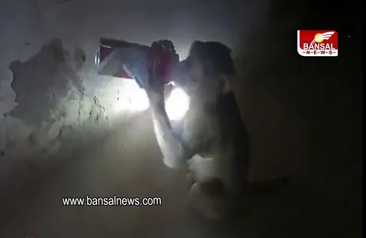 Viral Video: दारूबाज बंदर का वायरल वीडियो, दारू न मिले तो कर देता है हंगामा