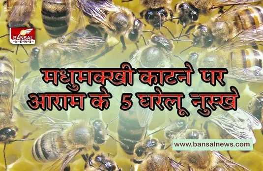 BEEBITE:मधुमक्खी काटने पर आराम पाने के 5 घरेलू नुस्खे