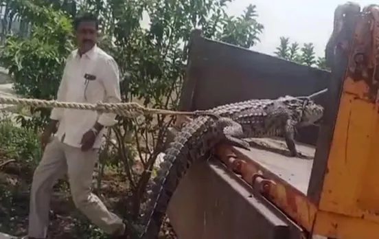 Karnataka Farmers: कर्नाटक के किसानों का अजीबो गरीब विरोध-प्रदर्शन, मगरमच्‍छ लेकर पहुंच गए क‍िसान, पढ़ें पूरी खबर