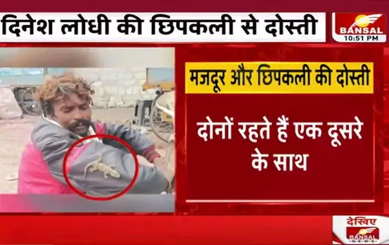 Man and Lizard Love: मजदूर और बेजुबान छिपकली का अनूठा प्यार, जानकर आप भी कहेंगे वाह