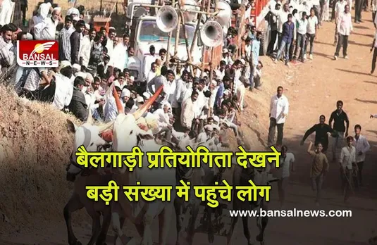 Maharashtra : प्रतिबंध हटने के बाद, बैलगाड़ी प्रतियोगिता देखने बड़ी संख्या में पहुंचे लोग