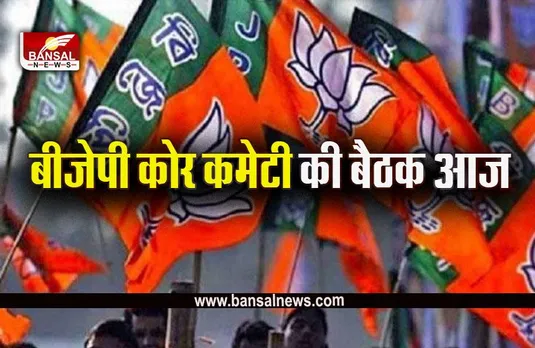 BJP Core Committee Meeting: बीजेपी का बड़ा प्लान, नेताओं को मिल सकती है बड़ी जिम्मेदारी