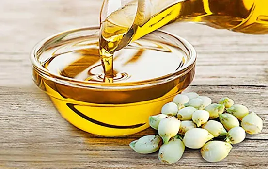 MP News: मध्य प्रदेश का महुआ यूरोप के एथनिक फूड में बना रहा है नई पहचान, जानें महुआ के फायदे