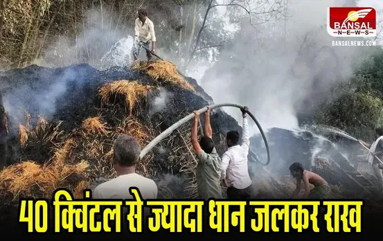 MP News: शहडोल में खलिहान में रखी फसल में लगाई आग, 40 क्विंटल से ज्यादा धान जलकर राख