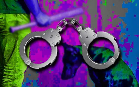 MP News: कुत्ते को मारना एक जघन्य अपराध, आईपीसी के तहत पुलिस ने इस शहर में दो लोगों को किया गिरफ्तार