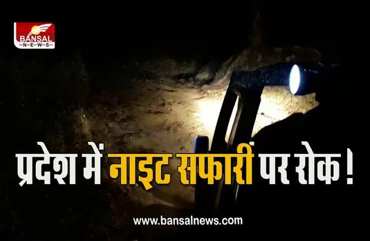 Pench Tiger Reserve Night Safari : एमपी में नहीं ले पाएंगे नाइट सफारी का मजा! एनटीसीए ने लगाई रोक