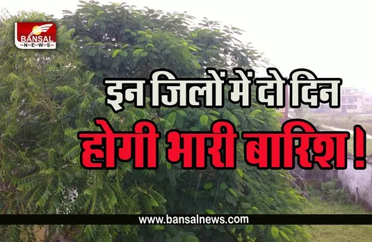 MP Weather Update : एमपी में फिर शुरू झमाझम बारिश का दौर, इन जिलों में यलो अलर्ट की चेतावनी