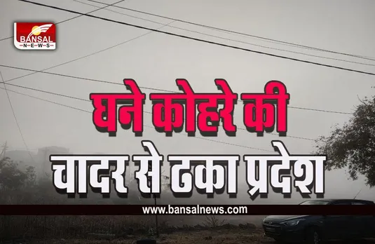 MP Weather Update: एमपी में घना कोहरा, गाड़ियों की रफ्तार पड़ी धीमी, मौसम विभाग का यलो-ऑरेंज अलर्ट