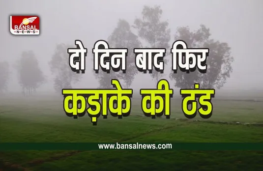 MP Weather Forecast Today : तीन दिन रहेगी राहत, फिर शुरू होगा ठंड का दौर