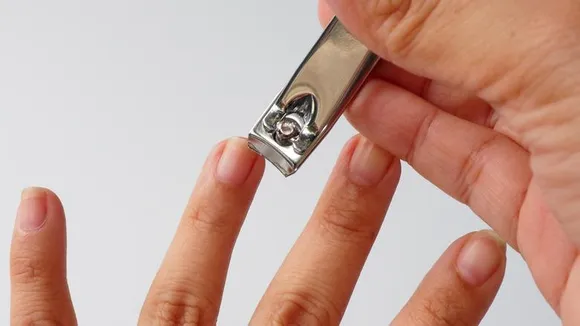 नाखून काटकर कहां डालना चाहिए, इस पेड़ में गड़ाएंगे तो होगा ये लाभ