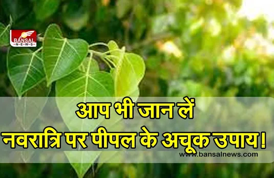 Chairta Navratri 2023 Totke : नवरात्रि में पीपल के पत्ते का ये विशेष उपाय आपको बनाएगा मालामाल, नवरात्रि में करें ये अचूक टोटके