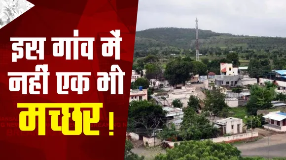 अजब गजब : भारत के इस गांव में नहीं है मच्छर, पकड़ने पर मिलते हैं 400 रूपए - Ajab Gajab