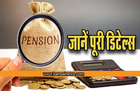 Integrated Pension Portal: पेंशनर्स के जीवन को आसान बनाने के लिए सरकार का बड़ा ऐलान,जानें पूरी डिटेल्स