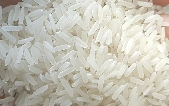 प्लास्टिक चावल है सेहत के लिए खतरनाक, जानिए प्लास्टिक चावल की पहचान कैसे करें