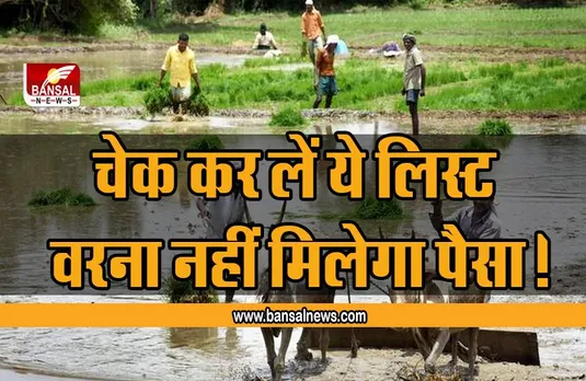 PM Kisan Yojana Update: किसानों के लिए खुशखबरी, आने वाले खातों में पैसे ,चेक कर लें ये लिस्ट, वरना नहीं मिलेगा पैसा!