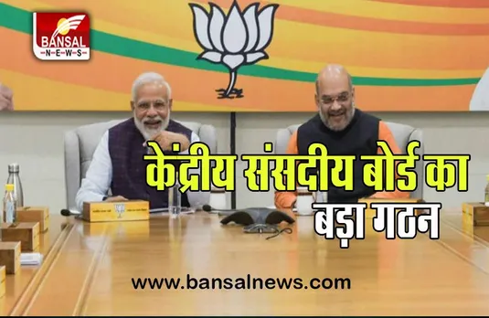 BJP CEC List Released: जारी हो गई पार्टी के नए सदस्यों की सूची, केंद्रीय संसदीय बोर्ड का बड़ा गठन
